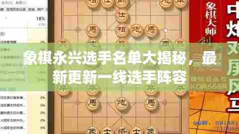 象棋永兴选手名单大揭秘,最新更新一线选手阵容