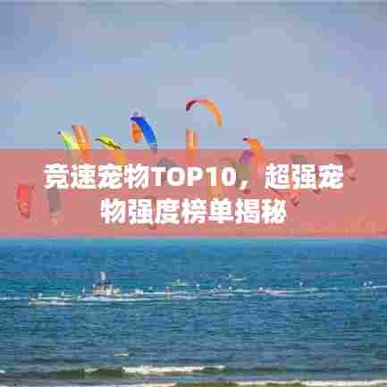 竞速宠物TOP10,超强宠物强度榜单揭秘