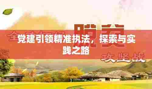 党建引领精准执法,探索与实践之路