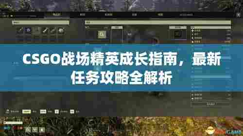 CSGO战场精英成长指南,最新任务攻略全解析
