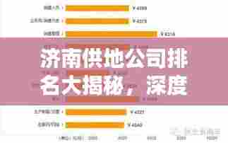济南供地公司排名大揭秘,深度解析影响力与实力!