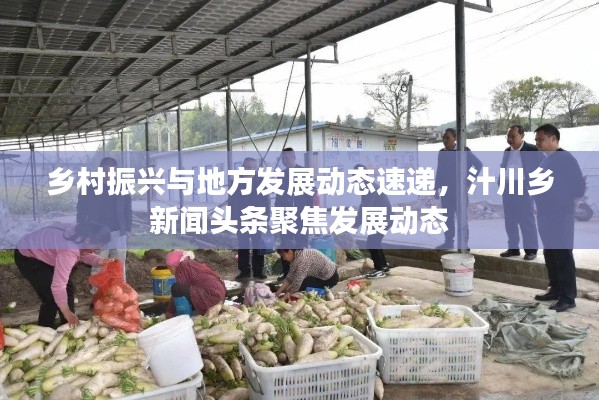 乡村振兴与地方发展动态速递,汁川乡新闻头条聚焦发展动态