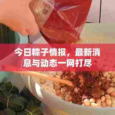 今日粽子情报，最新消息与动态一网打尽