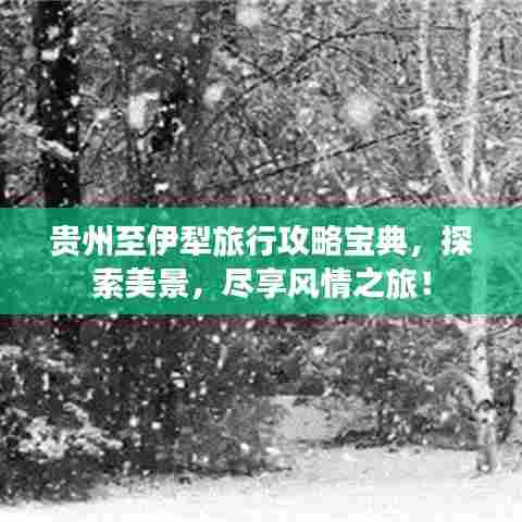 贵州至伊犁旅行攻略宝典,探索美景,尽享风情之旅!