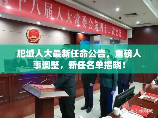 肥城人大最新任命公告，重磅人事调整，新任名单揭晓！