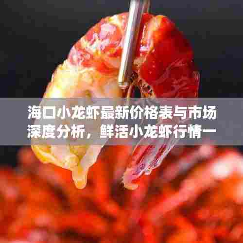 海口小龙虾最新价格表与市场深度分析,鲜活小龙虾行情一网打尽!