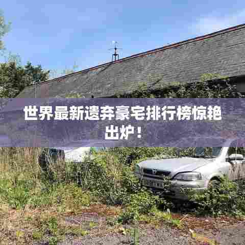 大雪纷飞 第6页