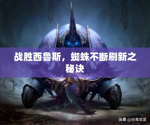 战胜西鲁斯,蜘蛛不断刷新之秘诀