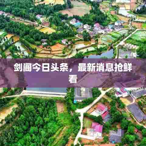 剑阁今日头条，最新消息抢鲜看