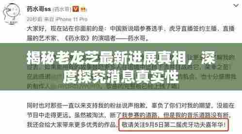 揭秘老龙芝最新进展真相，深度探究消息真实性
