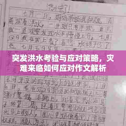 突发洪水考验与应对策略，灾难来临如何应对作文解析