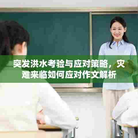 突发洪水考验与应对策略,灾难来临如何应对作文解析