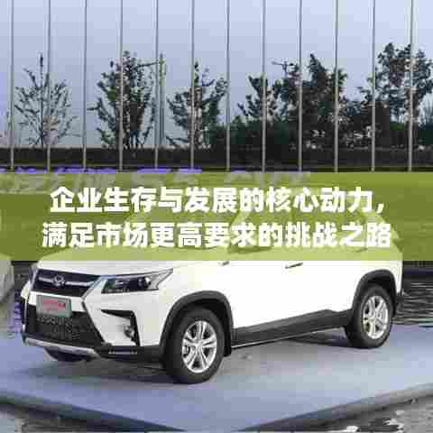企业生存与发展的核心动力，满足市场更高要求的挑战之路