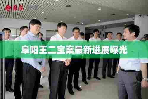 阜阳王二宝案最新进展曝光