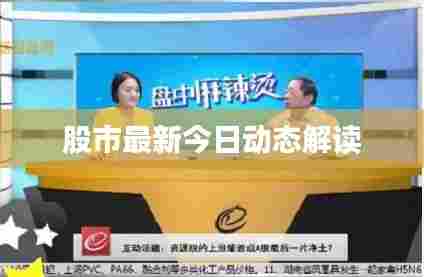 股市最新今日动态解读