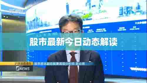 股市最新今日动态解读