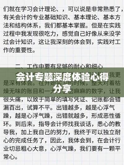 会计专题深度体验心得分享