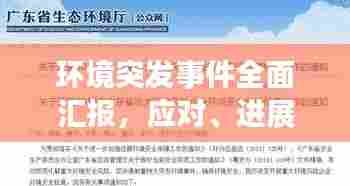 环境突发事件全面汇报,应对、进展与反思