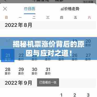 揭秘机票涨价背后的原因与应对之道!