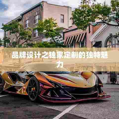 品牌设计之独家定制的独特魅力