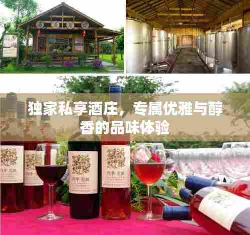 独家私享酒庄,专属优雅与醇香的品味体验