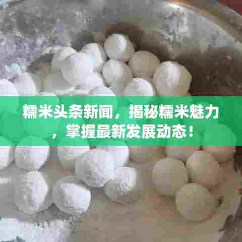 糯米头条新闻,揭秘糯米魅力,掌握最新发展动态!