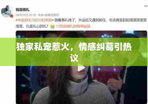 独家私宠惹火,情感纠葛引热议