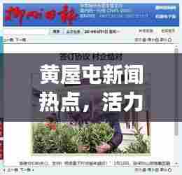 黄屋屯新闻热点,活力交织的变迁与最新头条报道