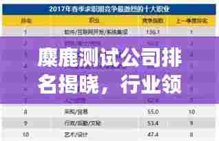 麋鹿测试公司排名揭晓，行业领军者榜单重磅出炉！