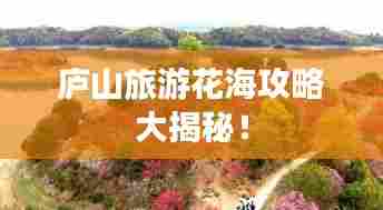 庐山旅游花海攻略大揭秘！