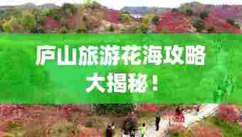 庐山旅游花海攻略大揭秘!