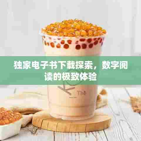 独家电子书下载探索，数字阅读的极致体验