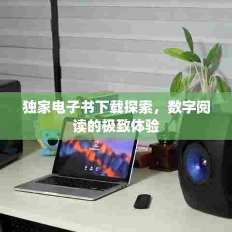 独家电子书下载探索,数字阅读的极致体验