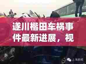 遂川楷田车祸事件最新进展，视频报道揭示现场情况