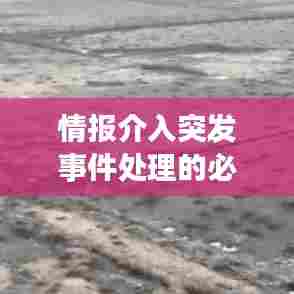 情报介入突发事件处理的必要性与策略深度解析