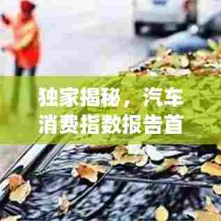 独家揭秘,汽车消费指数报告首发,深度解读市场趋势新视角