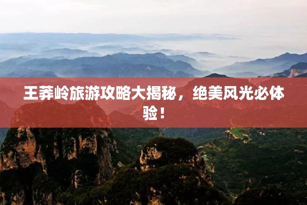 王莽岭旅游攻略大揭秘，绝美风光必体验！