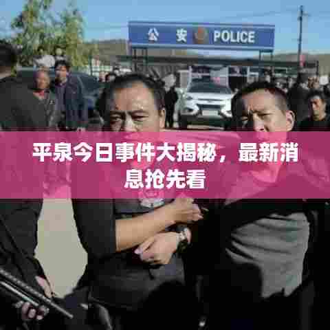 平泉今日事件大揭秘，最新消息抢先看