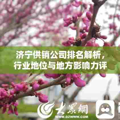 济宁供销公司排名解析,行业地位与地方影响力评估