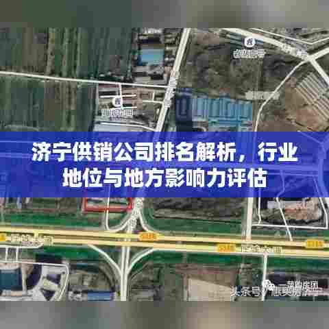 济宁供销公司排名解析,行业地位与地方影响力评估