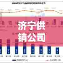 济宁供销公司排名解析,行业地位与地方影响力评估