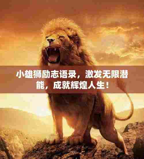 小雄狮励志语录,激发无限潜能,成就辉煌人生!