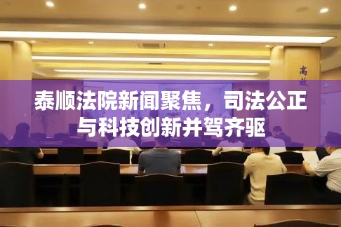泰顺法院新闻聚焦,司法公正与科技创新并驾齐驱