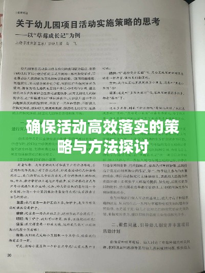 确保活动高效落实的策略与方法探讨