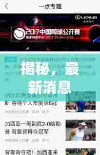 揭秘，最新消息解读，关于362的全方位资讯速递