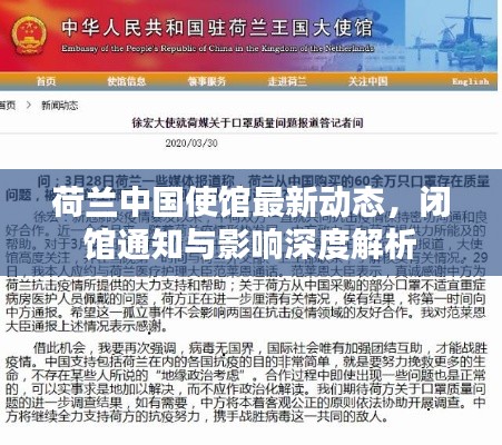 荷兰中国使馆最新动态,闭馆通知与影响深度解析