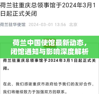 荷兰中国使馆最新动态,闭馆通知与影响深度解析