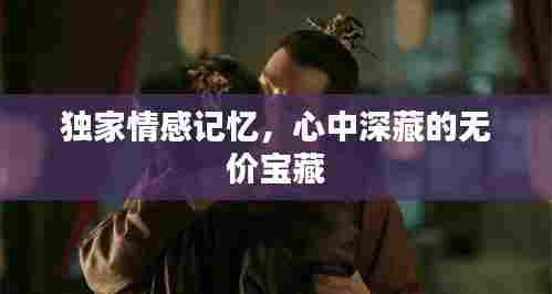 独家情感记忆,心中深藏的无价宝藏