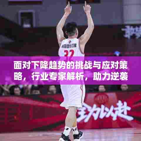 面对下降趋势的挑战与应对策略,行业专家解析,助力逆袭翻盘!
