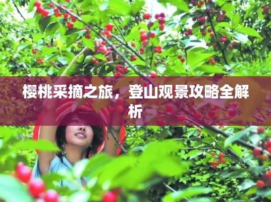 樱桃采摘之旅,登山观景攻略全解析